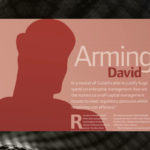 Arming David White Paper